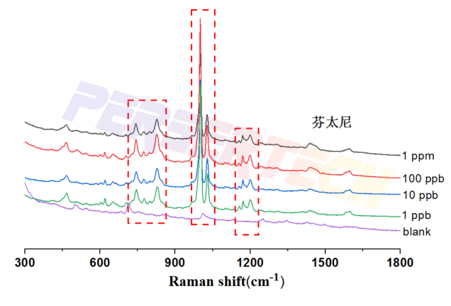 65de8cc80052c.png
